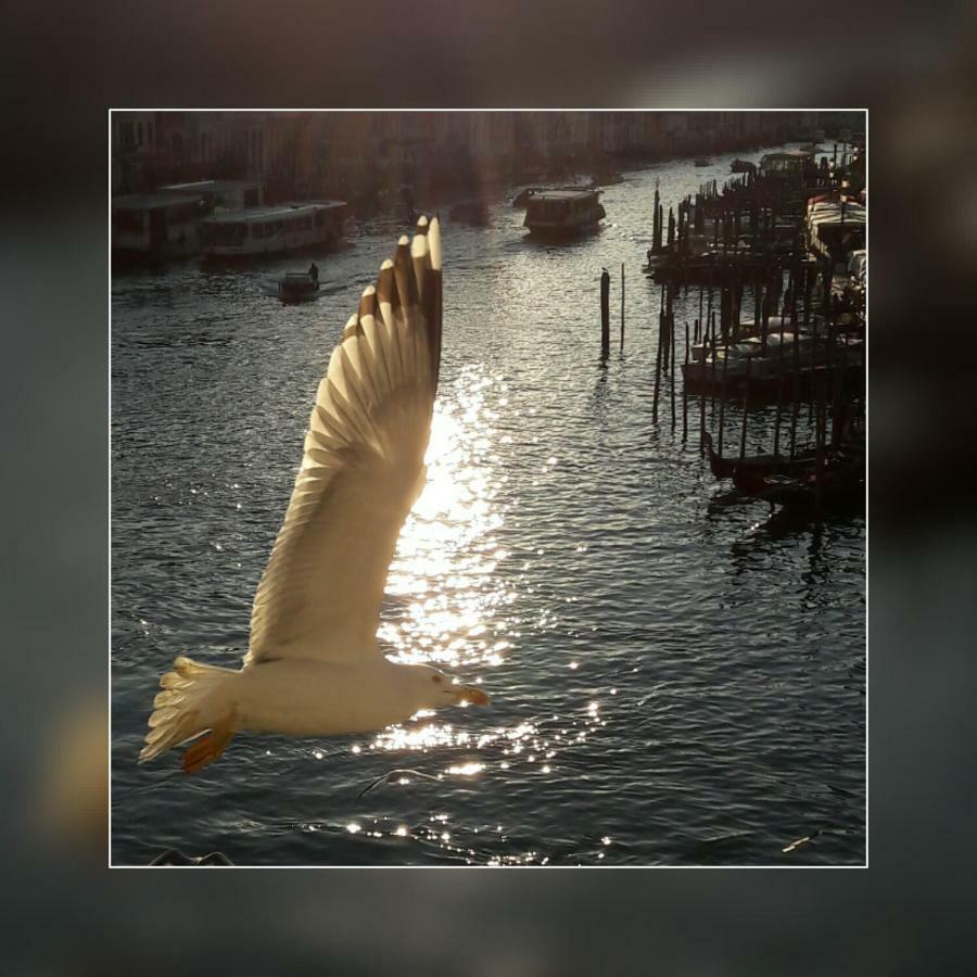 Appartamento Mare E Laguna Lido di Jesolo